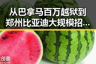 从巴拿马百万越狱到郑州比亚迪大规模招聘的背后反差