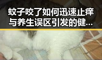 蚊子咬了如何迅速止痒与养生误区引发的健康危机